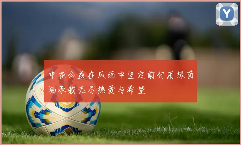 申花公益在风雨中坚定前行用绿茵场承载无尽热爱与希望