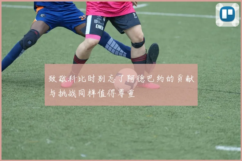 致敬科比时别忘了阿德巴约的贡献与挑战同样值得尊重
