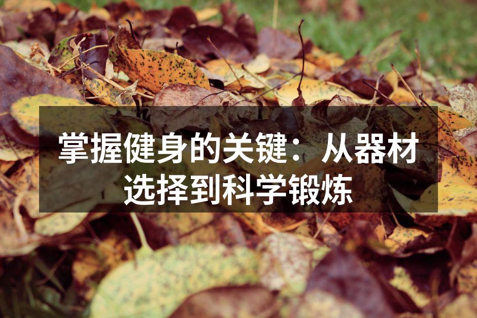 掌握健身的关键：从器材选择到科学锻炼