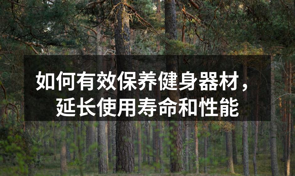 如何有效保养健身器材，延长使用寿命和性能